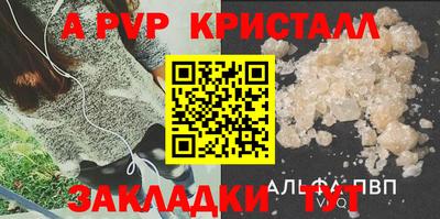 прущие крисы Будённовск