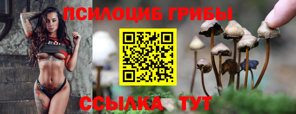 Уфа  что такое   Вход с VPN  Галлюциногенные грибы MAGIC MUSHROOMS 